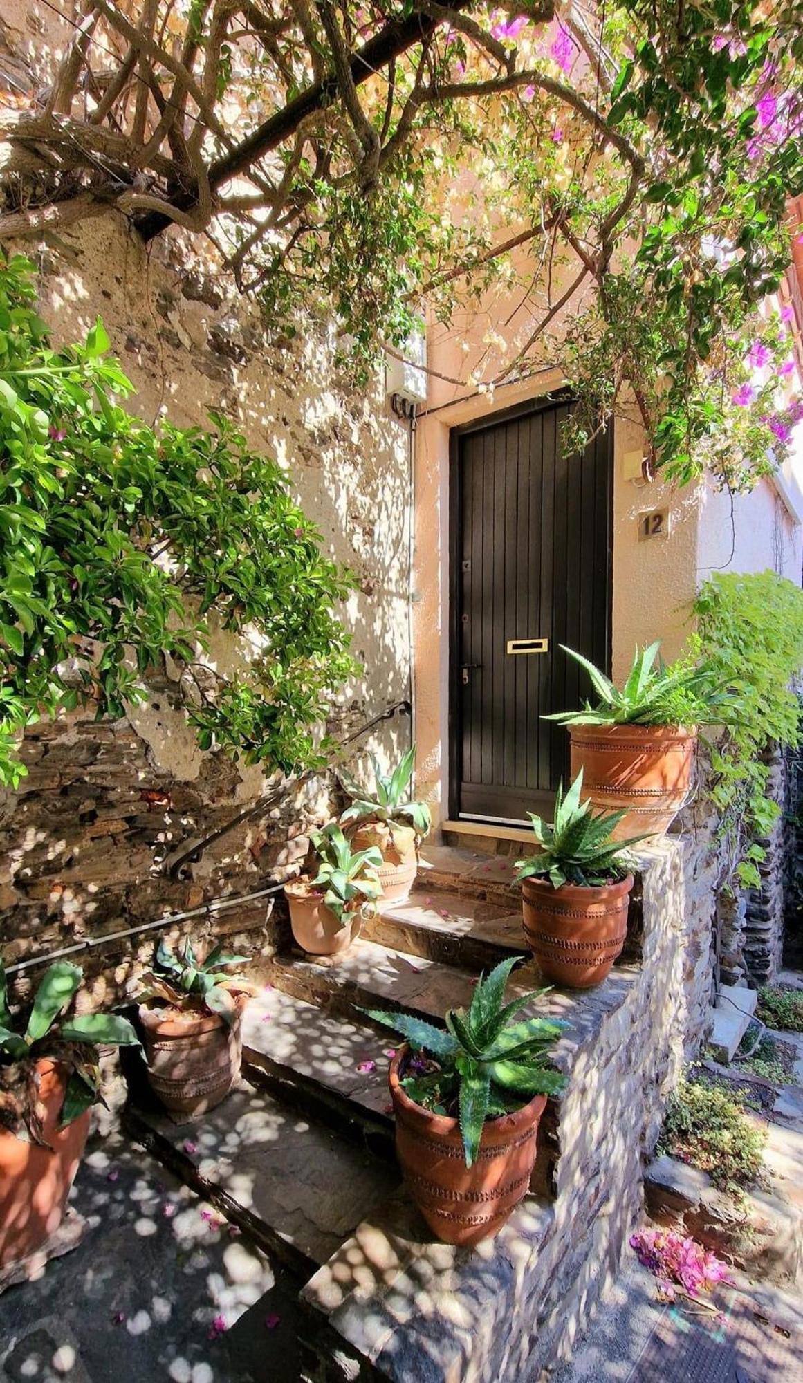 6Alz8 Appartement Pour 6 Personnes Collioure Exterior foto